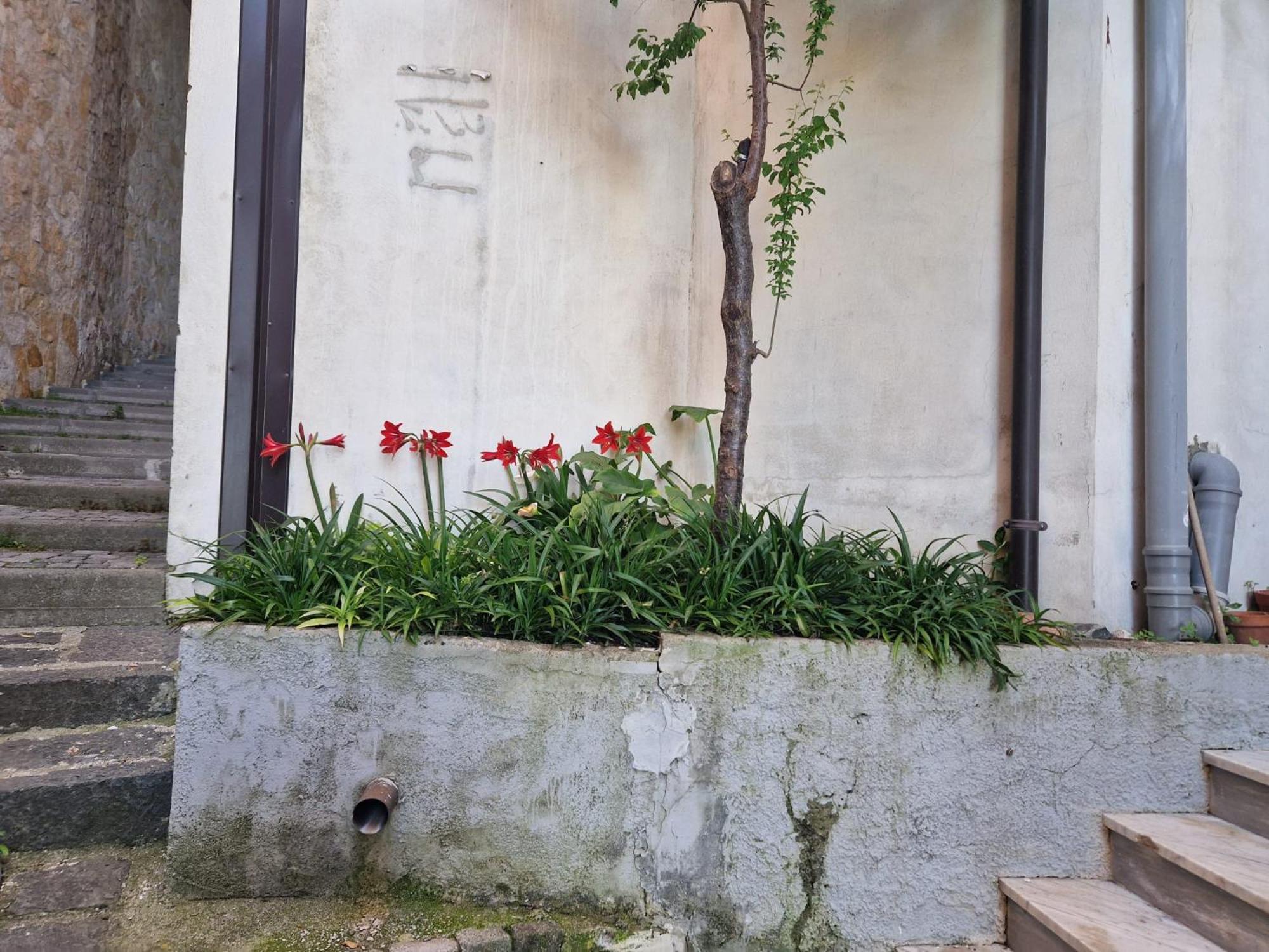 Rab&B Contursi Terme Exterior photo